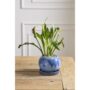 product-268708-1786737771-ACC01-0003323^2